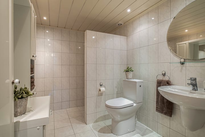 Foto 12 van het Boerrigter 76