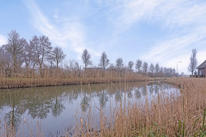 Foto 31 van Verschuurestraat 1