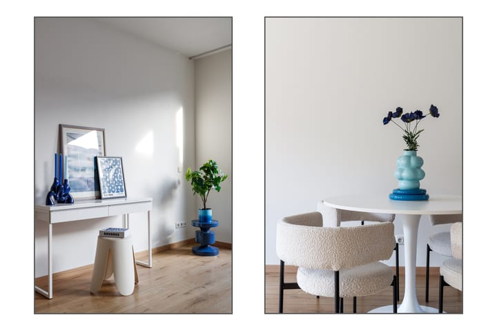 Foto 5 van Salvador Dalístraat 55