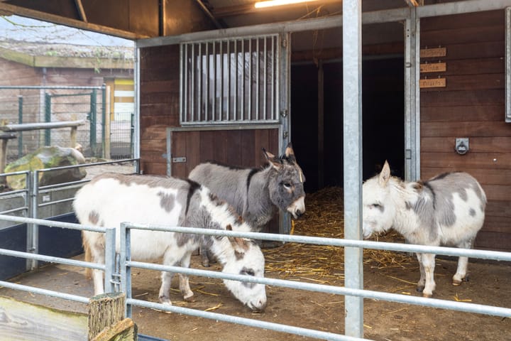 Foto 18 van Rodahof 30