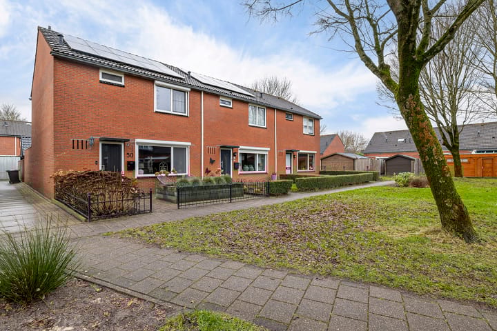 Foto 1 van Dissel 50