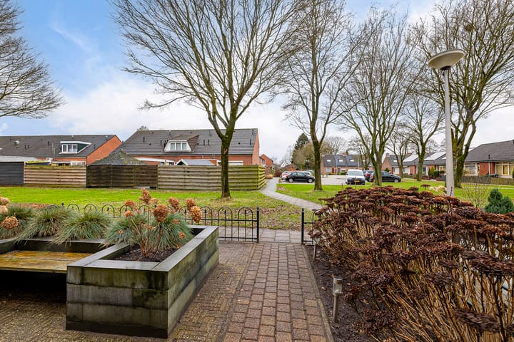 Foto 6 van Dissel 50