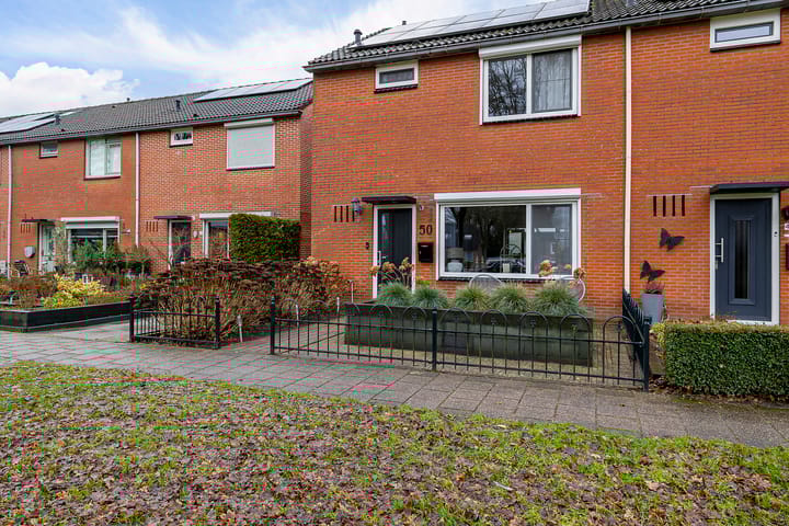 Foto 5 van Dissel 50