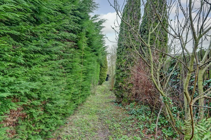 Foto 40 van Haltestraat 43