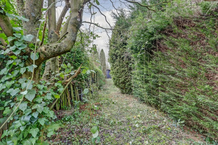 Foto 41 van Haltestraat 43