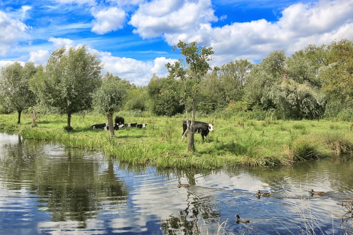 Foto 31 van Zeezigt 326