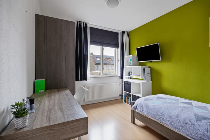 Foto 18 van Praam 78