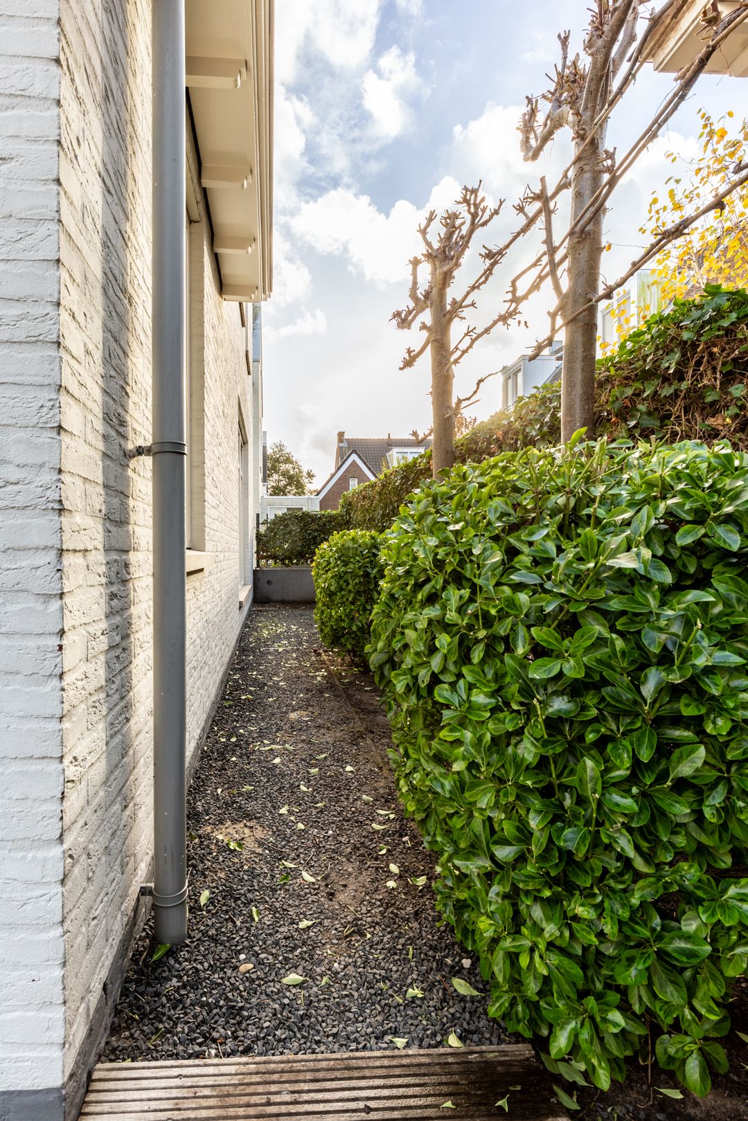 Foto 52 van Watervliet 22