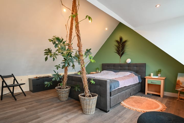 Foto 19 van Pelikaanstraat 1