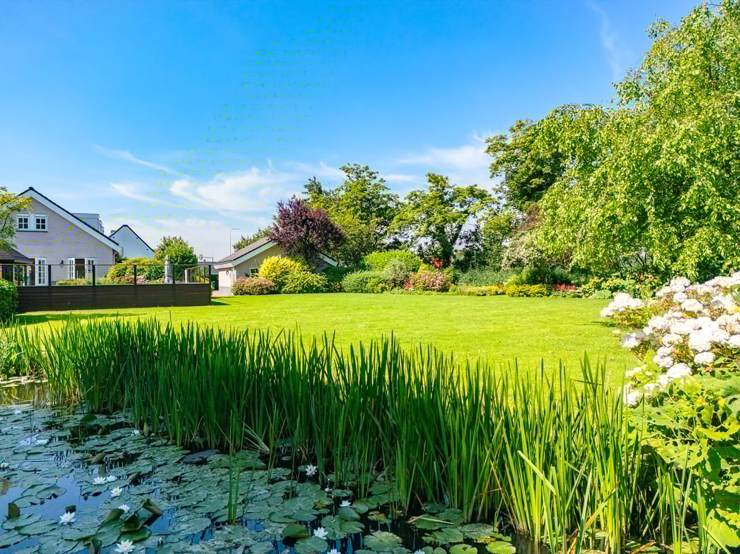 Foto 31 van Westelijke Randweg 1