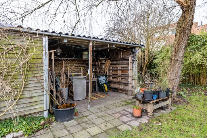 Foto 55 van Lindelaan 65