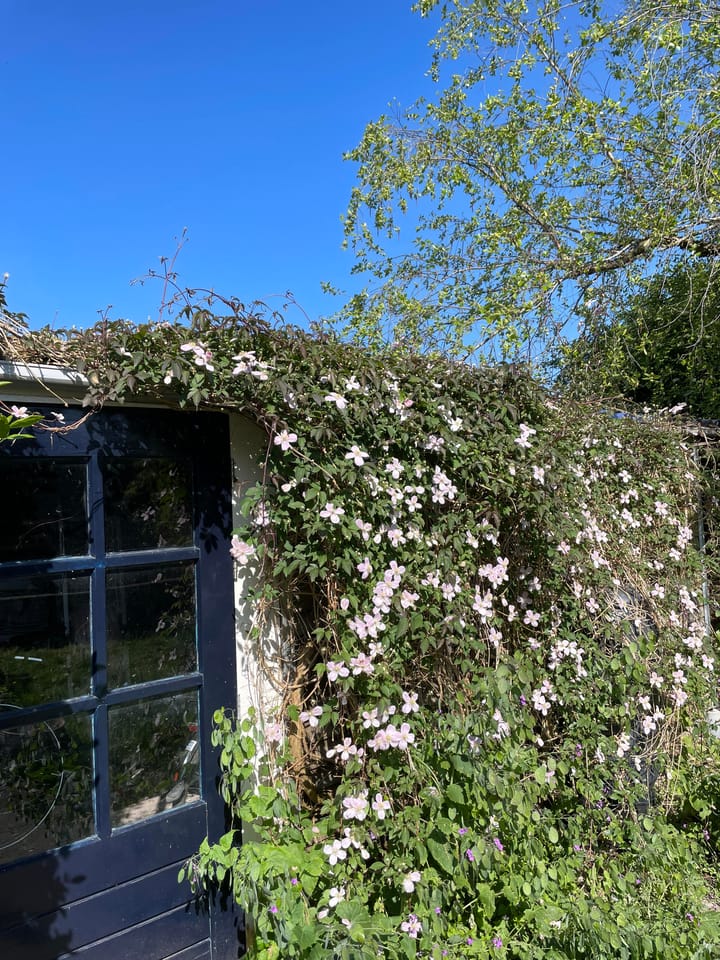 Foto 61 van Lindelaan 65