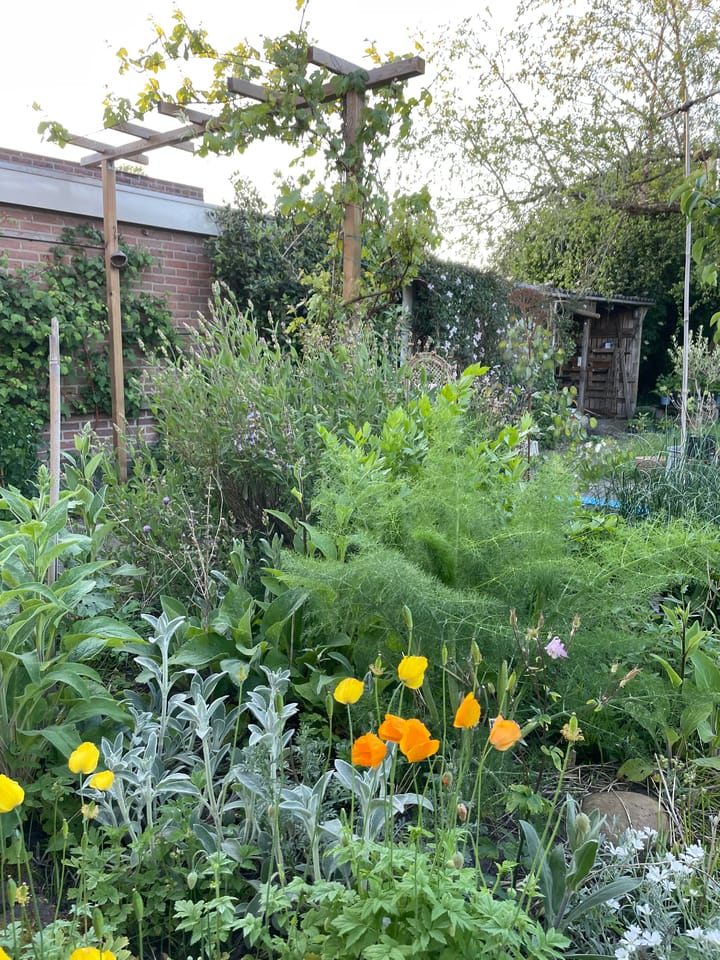 Foto 62 van Lindelaan 65