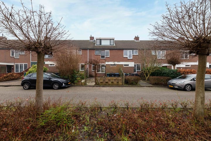 Foto 7 van Spiering 16