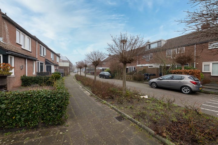 Foto 8 van Spiering 16