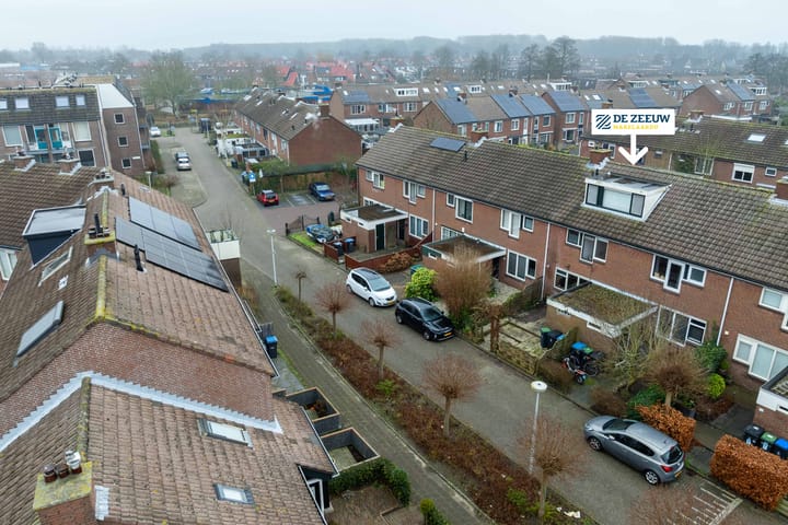 Foto 6 van Spiering 16