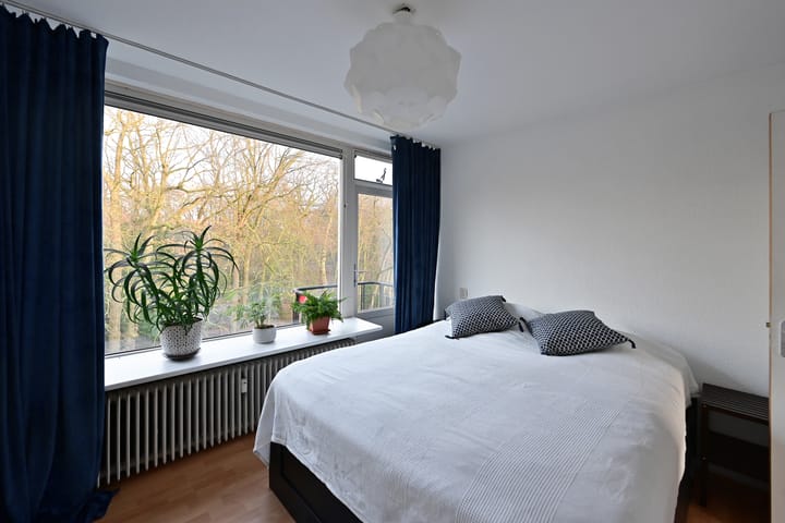 Foto 10 van Colenso 60