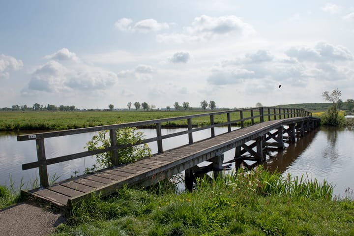 Foto 26 van Nachtegaalstraat 7