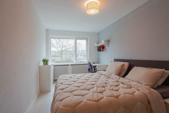 Foto 4 van Papeweer 12