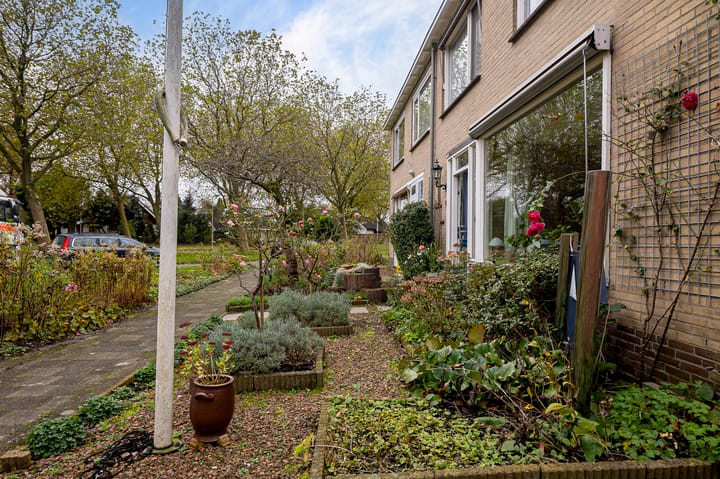 Foto 7 van De Boeijer 15