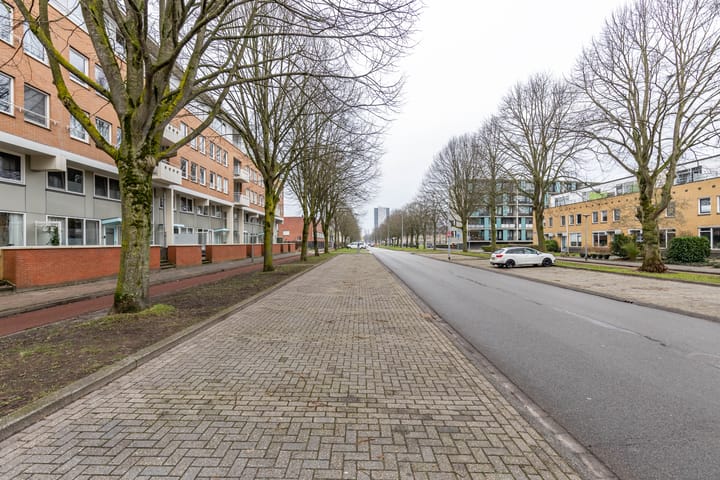 Foto 11 van S.O.J. Palmelaan 279