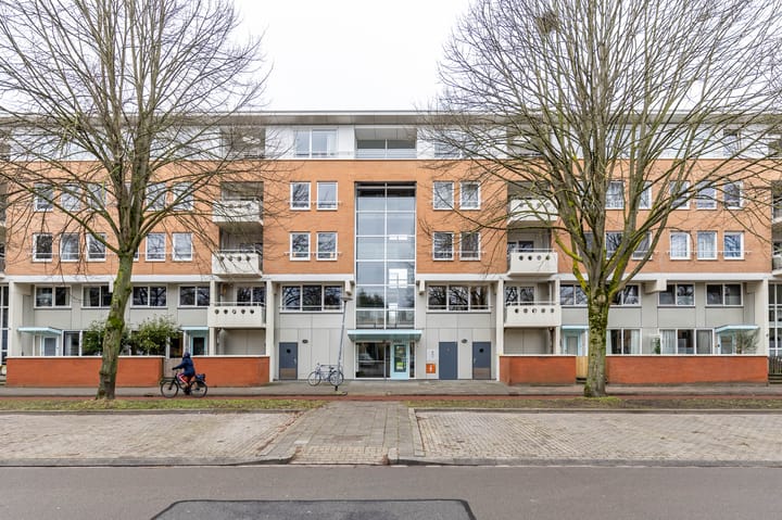 Foto 12 van S.O.J. Palmelaan 279