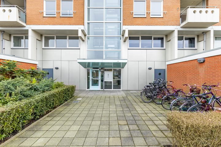 Foto 18 van S.O.J. Palmelaan 279