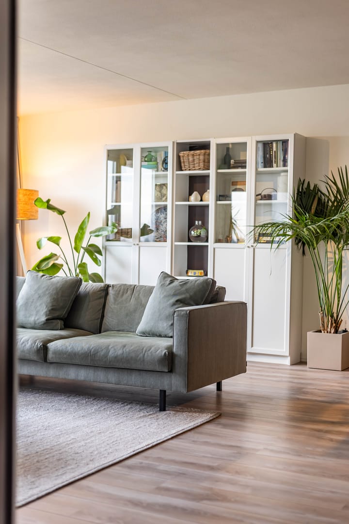 Foto 34 van S.O.J. Palmelaan 279