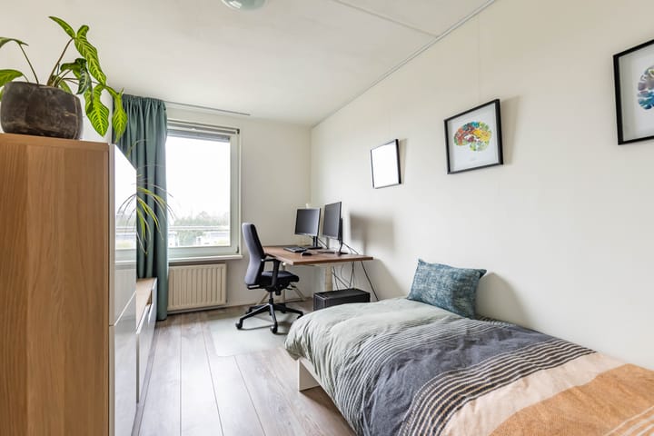 Foto 43 van S.O.J. Palmelaan 279