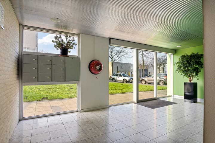 Foto 8 van Kattestaartveld 23