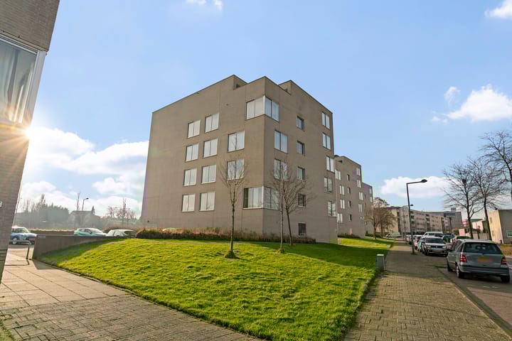 Foto 43 van Kattestaartveld 23