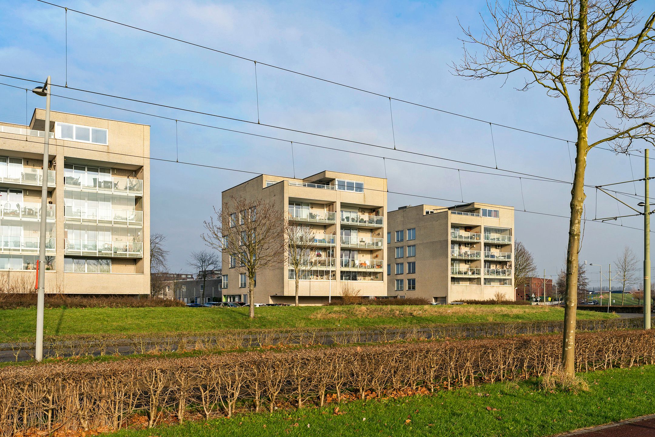 Foto 45 van Kattestaartveld 23