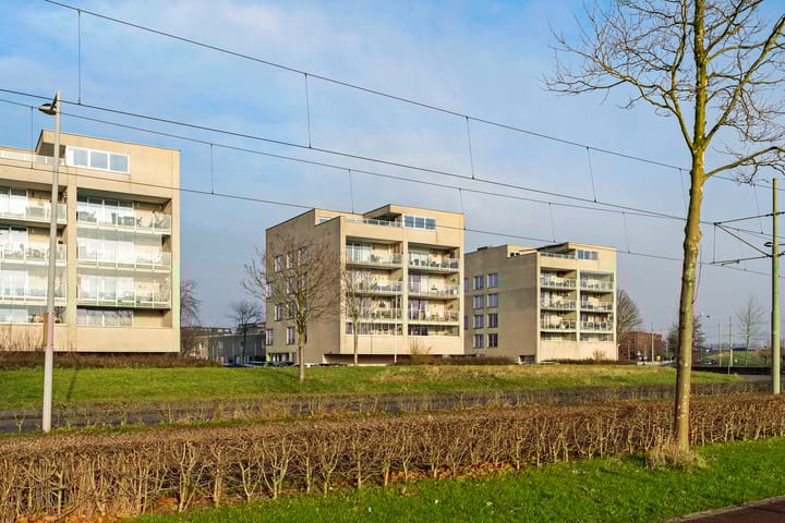 Foto 45 van Kattestaartveld 23