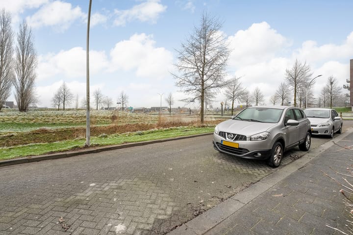 Foto 35 van Sterrenmos 68