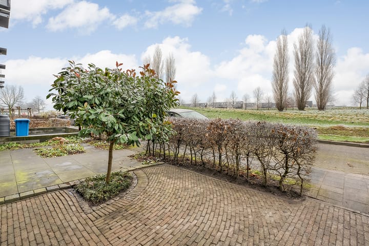 Foto 36 van Sterrenmos 68