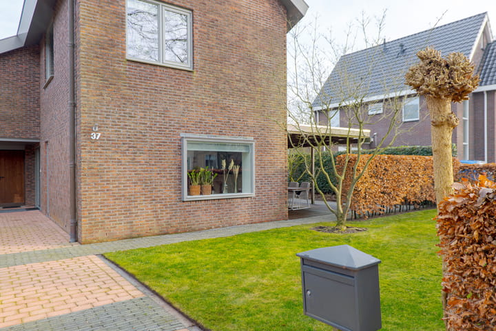 Foto 5 van Harm Tiesingstraat 37