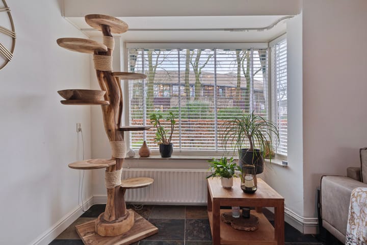 Foto 9 van Marnestraat 3