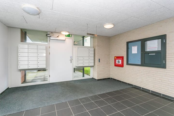 Foto 19 van Olympiade 34