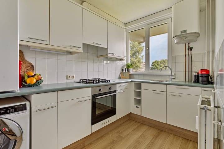 Foto 3 van Maassingel 276