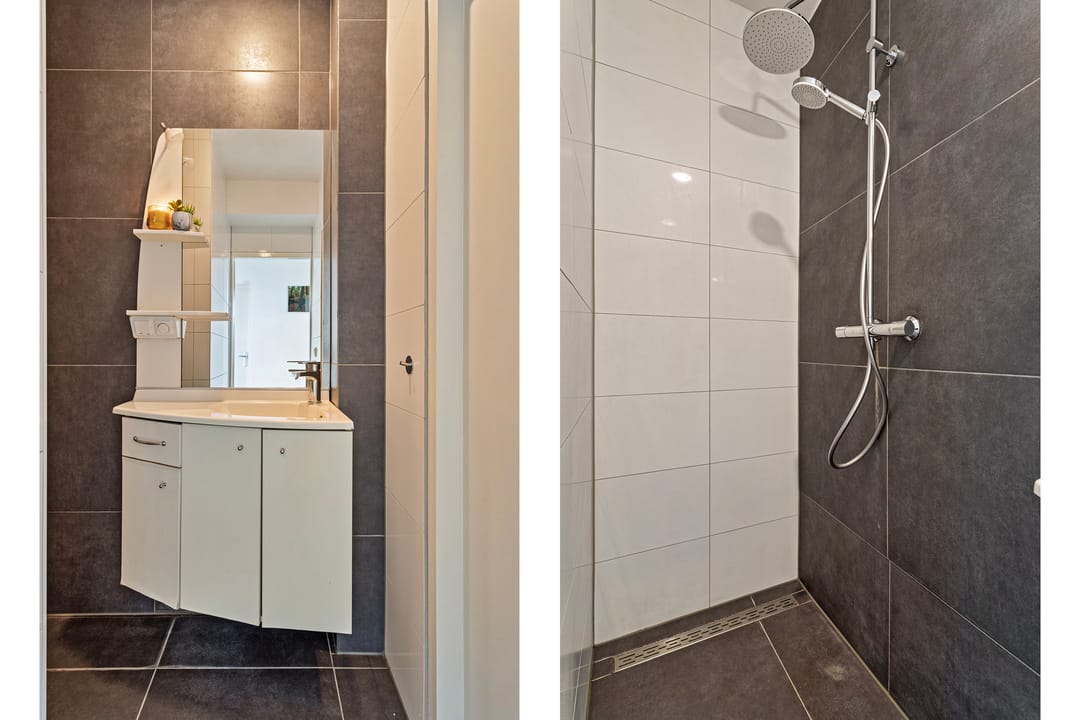 Foto 17 van Maassingel 276