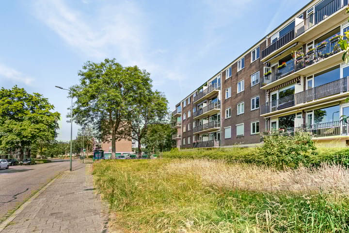 Foto 25 van Maassingel 276