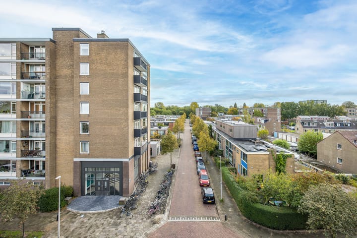 Foto 22 van Smaragdplein 210