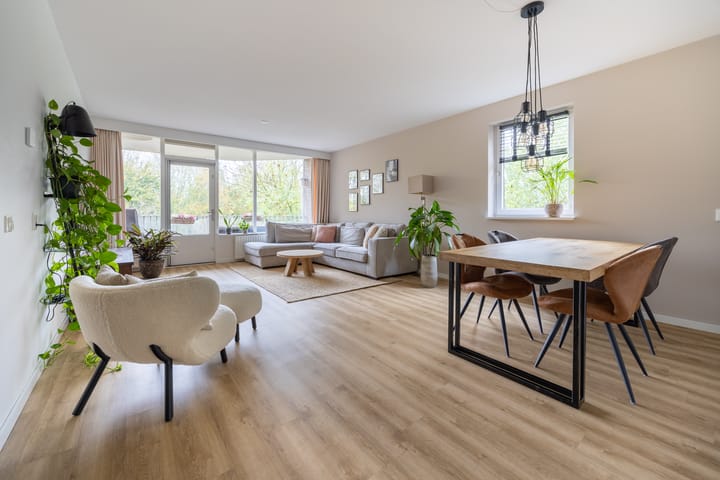 Foto 2 van Koraalzwam 183