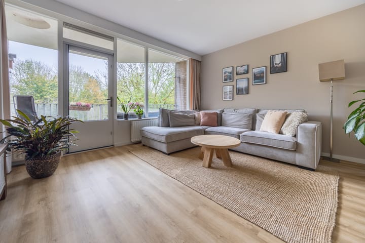 Foto 3 van Koraalzwam 183