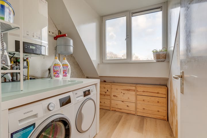 Foto 31 van Scholekster 2