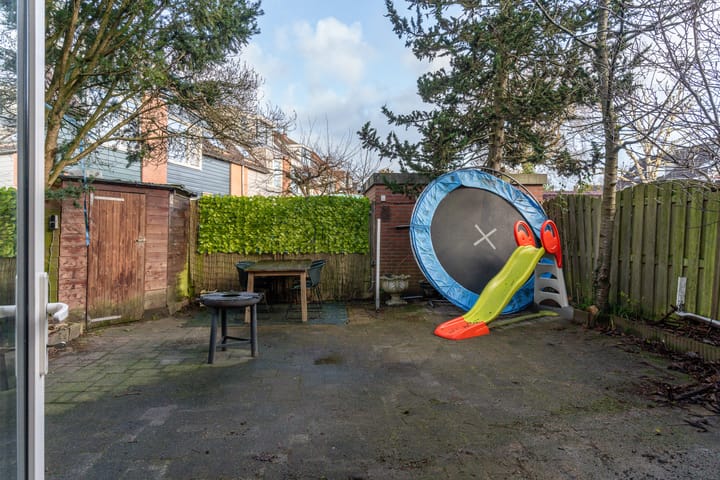 Foto 32 van Scholekster 2