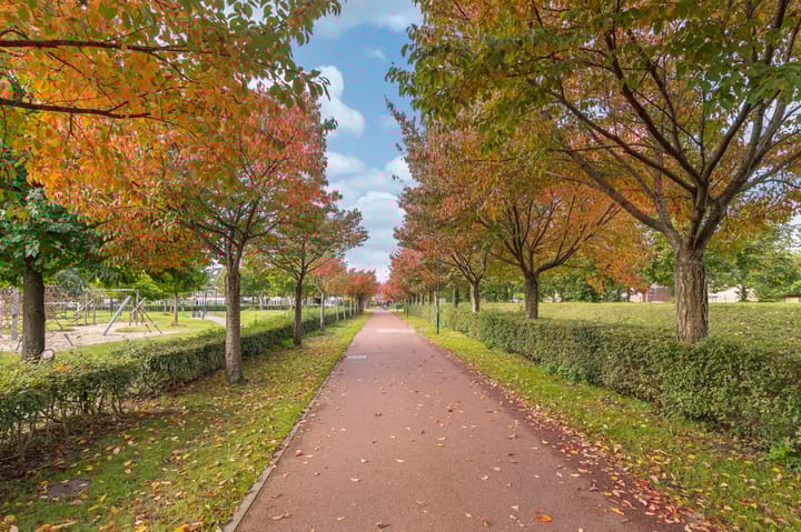 Foto 52 van Stedenland 11