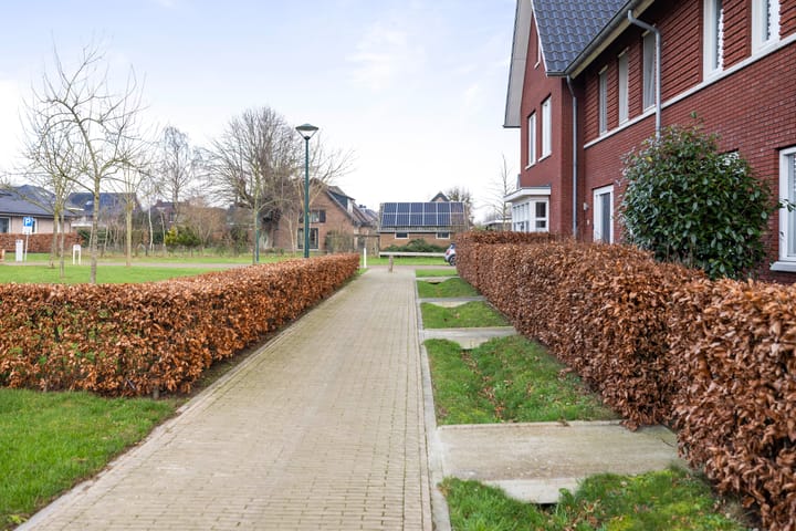 Foto 35 van Sleutelbloem 18