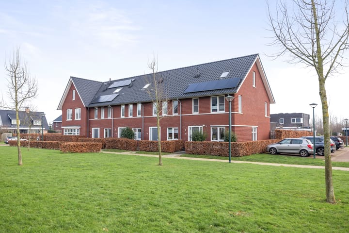 Foto 36 van Sleutelbloem 18