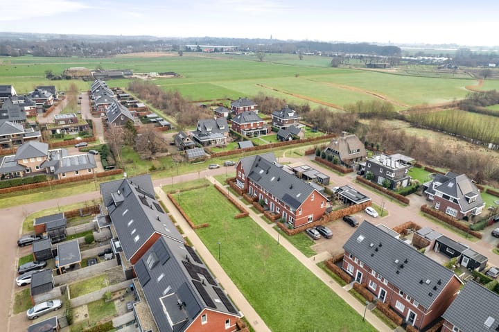 Foto 38 van Sleutelbloem 18